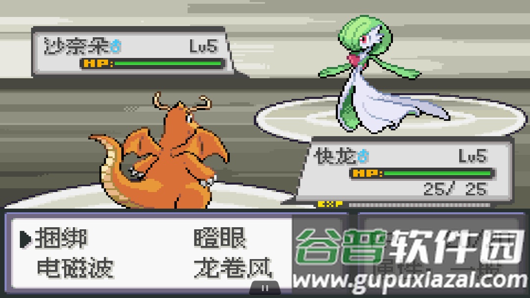 口袋妖怪火红全随机版最新版(究极绿宝石5.2)截图5