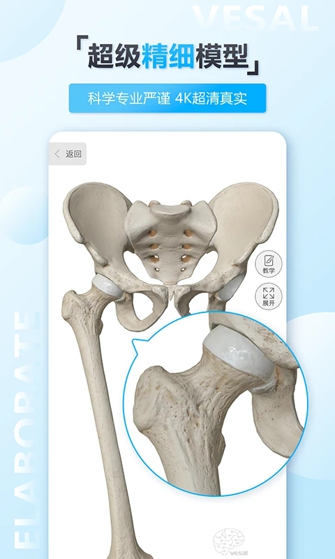 维萨里3D解剖免费版 截图2