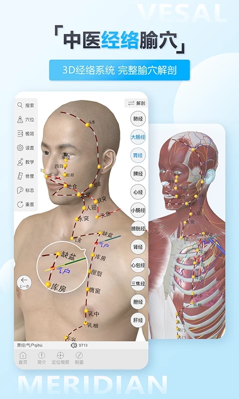维萨里3D解剖免费版 截图3