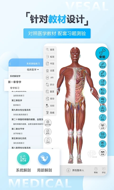 维萨里3D解剖免费版 截图4