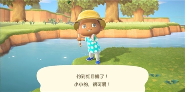 动物之森口袋露营官方版(Pocket Camp C)截图1