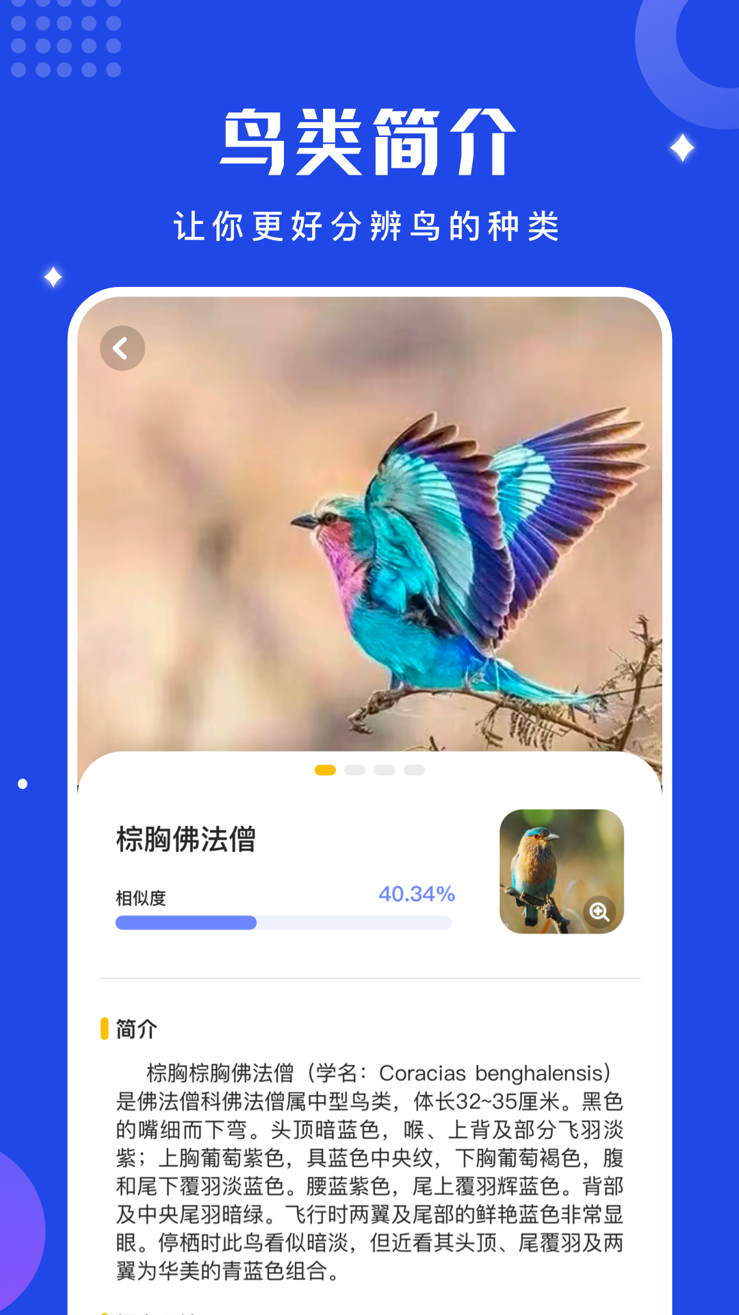 鸟语言翻译器免费版 安卓版截图3