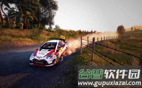 WRC The Game截图4