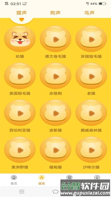 动物翻译器官方版截图2