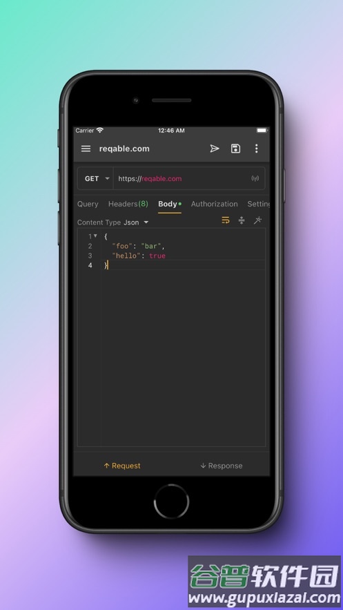reqable app截图5