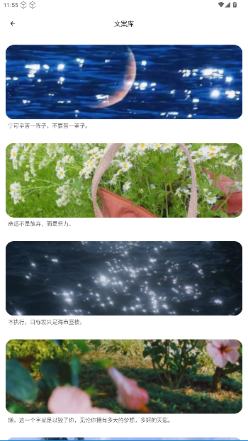 TrAni壁纸官方版截图2