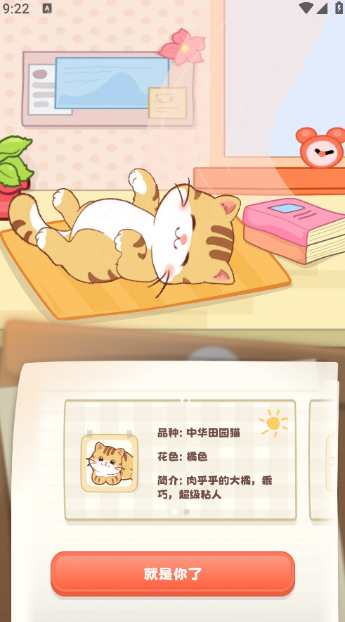 桌面喵最新版2026截图1