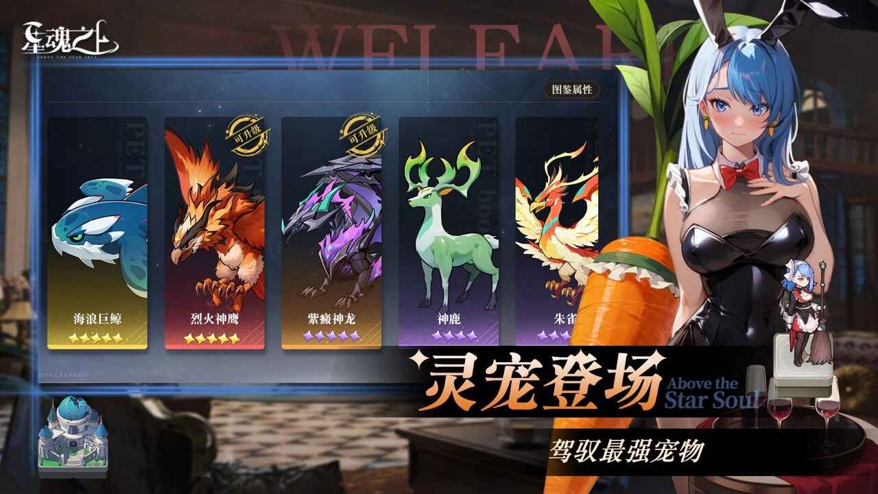 星魂之上最新版本截图3