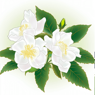 解语茶花官方正版免费v1.0.3