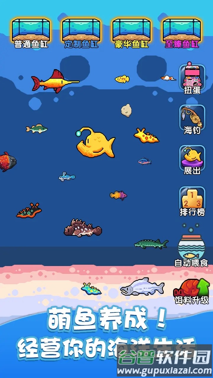 快来养鱼截图2