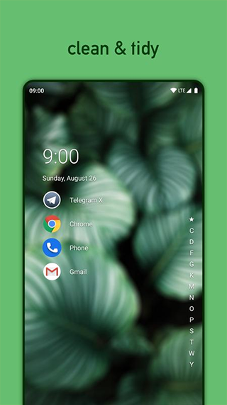 Niagara Launcher Pro高级版截图3