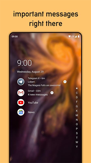 Niagara Launcher Pro高级版截图4