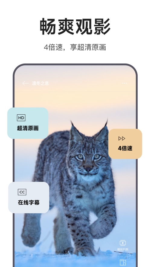 迅雷浏览器2026版下载安装截图1