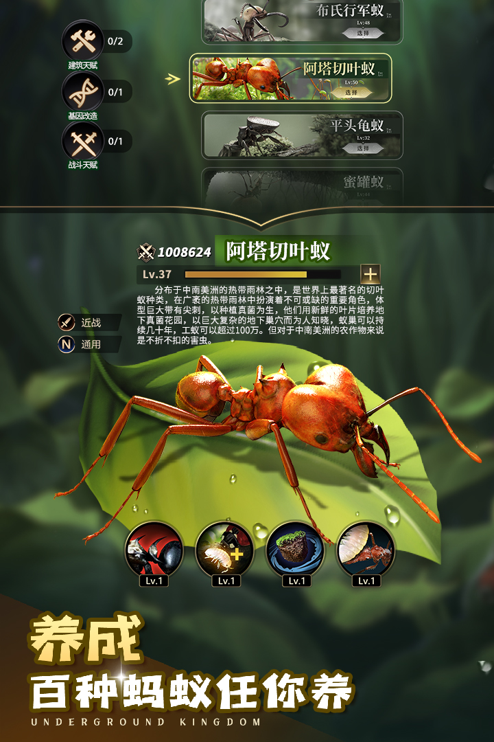 小小蚁国37版本下载截图1