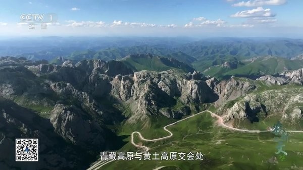 小岭电视tv最新版截图3