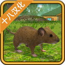 老鼠模拟器下载安装(Mouse Simulator)v1.38
