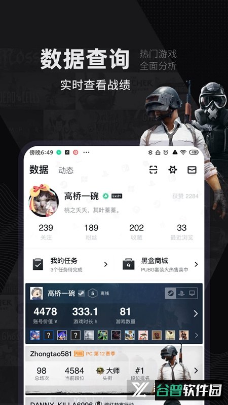 小黑盒荒野乱斗战绩查询app官方版截图2