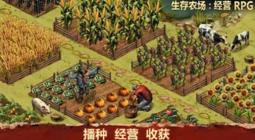 生存农场最新版本截图3