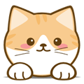 橘猫4kv3.1.0