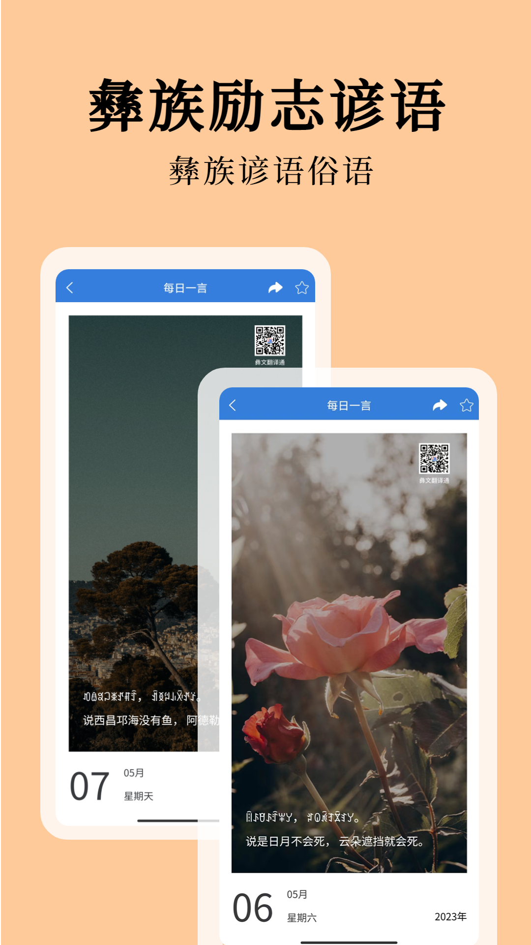 彝文翻译通app免费版 安卓版截图5