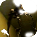 暗房backrooms游戏v1.0.4