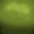 PVZ时空之旅写实版游戏v0.0.2
