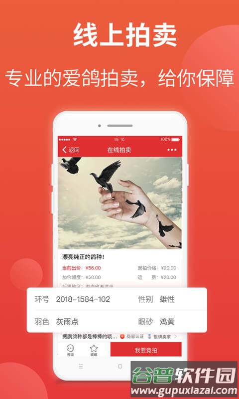 搜鸽天下-赛鸽头条重磅升级截图2