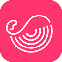 灰豚数据app官方版v3.2.1