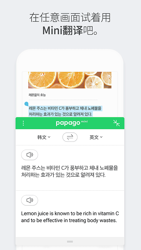 papago中韩翻译官方版截图5