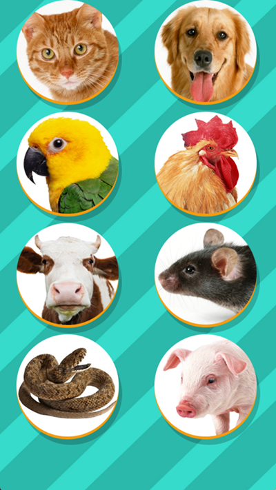 动物翻译器最新版(Pet Translator)截图3