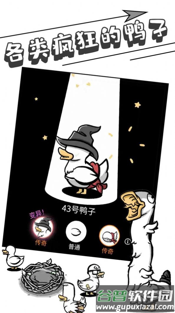 母鸡下蛋截图3
