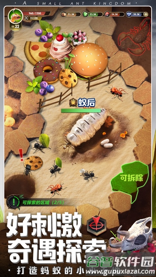 小小蚁国九游版下载截图2