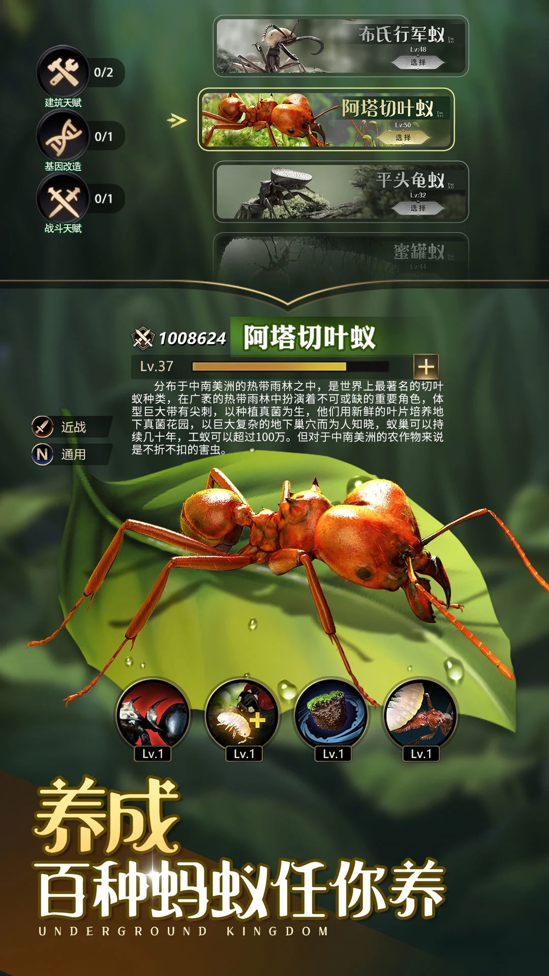 小小蚁国手游(送648元金甲蚁) 截图5
