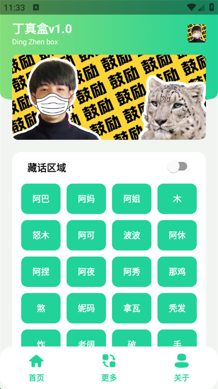 丁真盒安卓版下载最新版本截图1