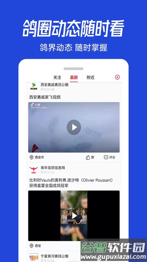 青鸽网app下载截图4