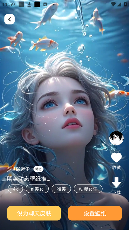 布橘小组件app官方手机版截图6