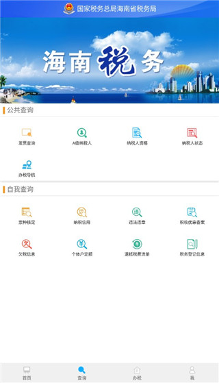 海南税务app截图4
