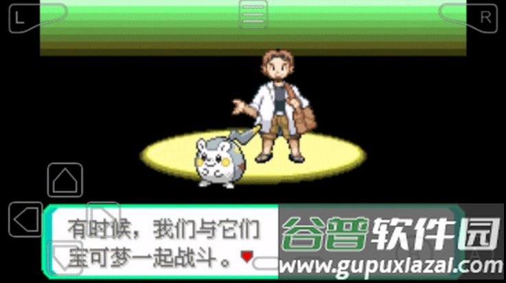 口袋妖怪究极绿宝石5.5许愿盒加强版九代精灵+永久mega版截图2
