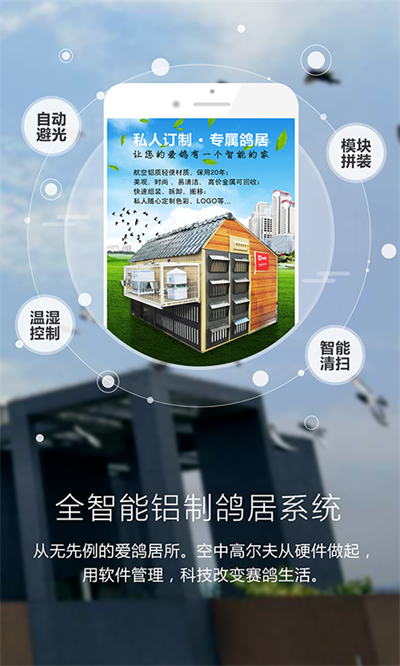 爱鸽者app官方版截图2