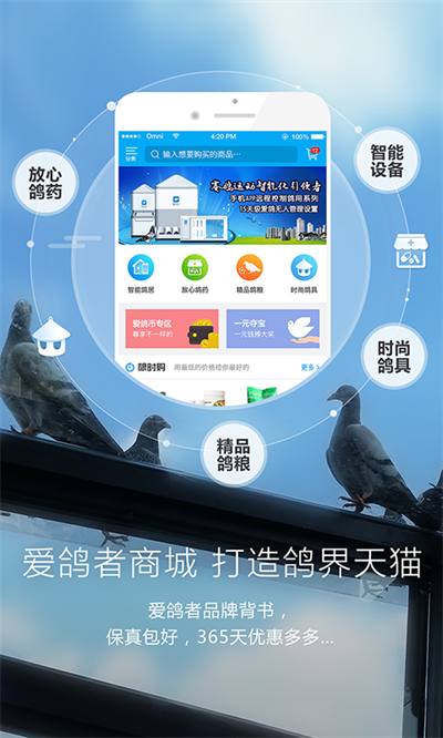 爱鸽者app官方版截图3