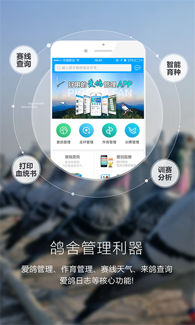 爱鸽者app官方版截图4