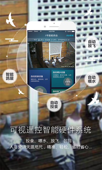 爱鸽者app官方版截图5