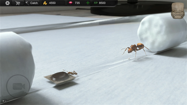 蚂蚁模拟大亨免费下载安装(Ant Sim Tycoon)截图1