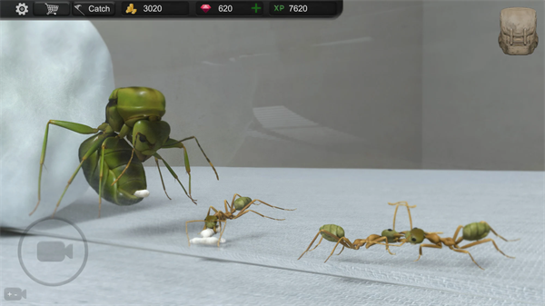 蚂蚁模拟大亨免费下载安装(Ant Sim Tycoon)截图3
