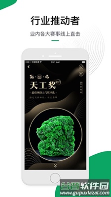 对庄翡翠app翡翠鉴定平台截图4