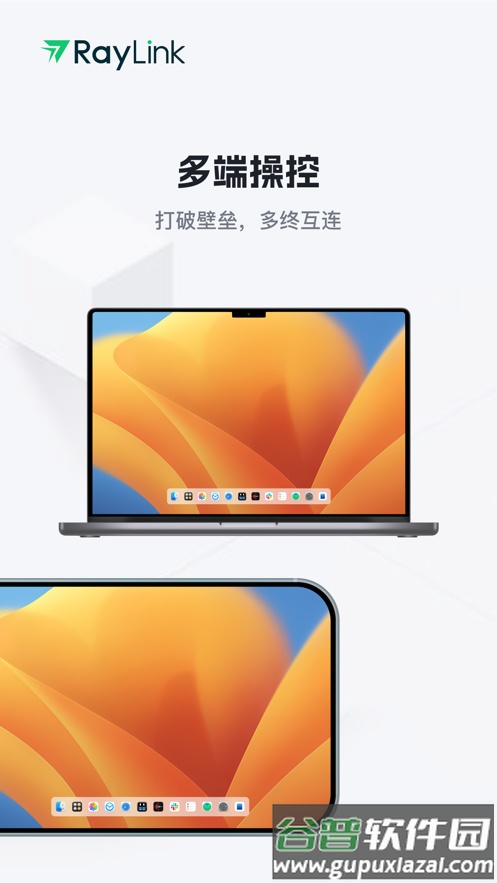 raylink app截图2