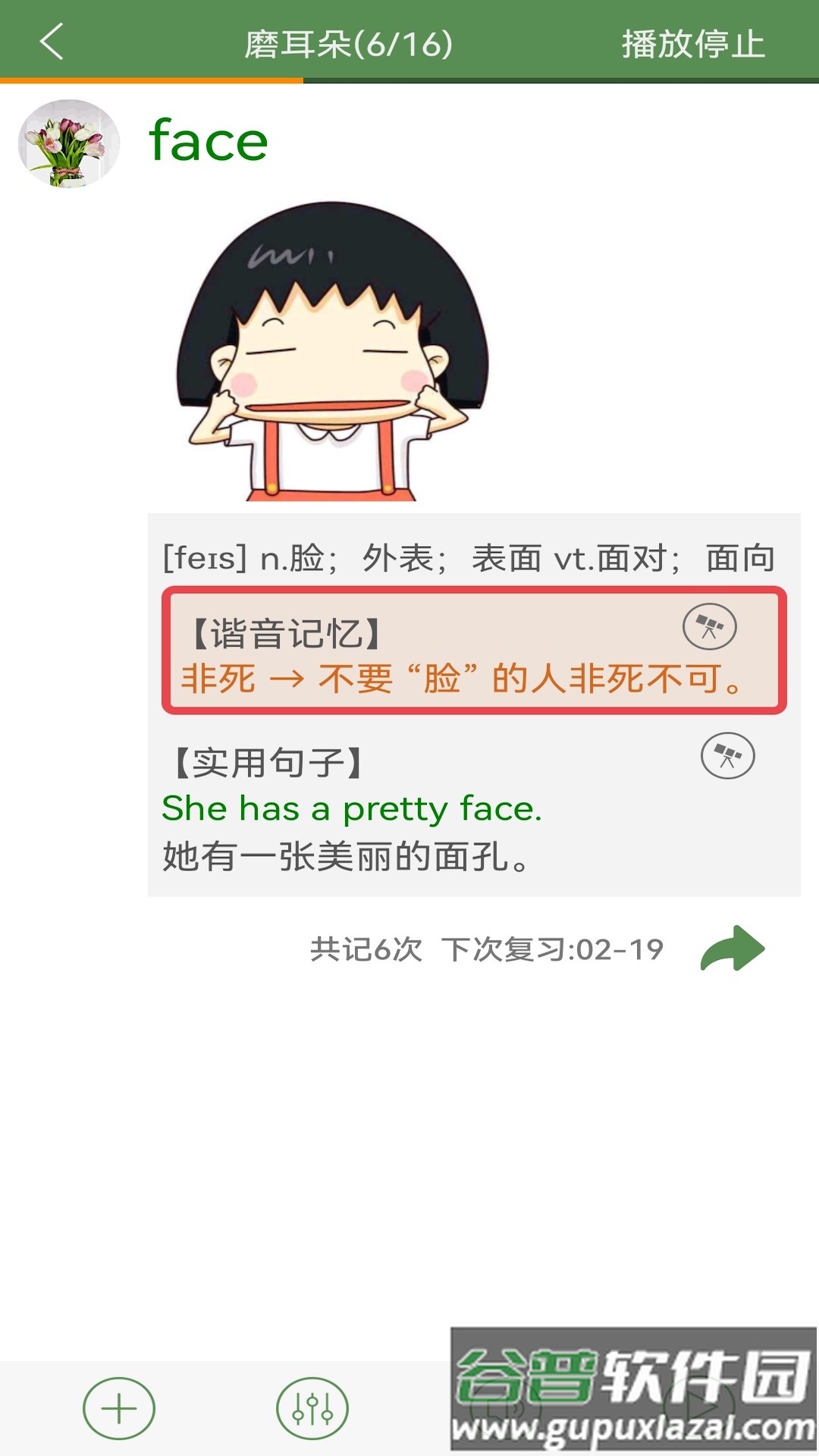 芝麻单词安卓版截图5