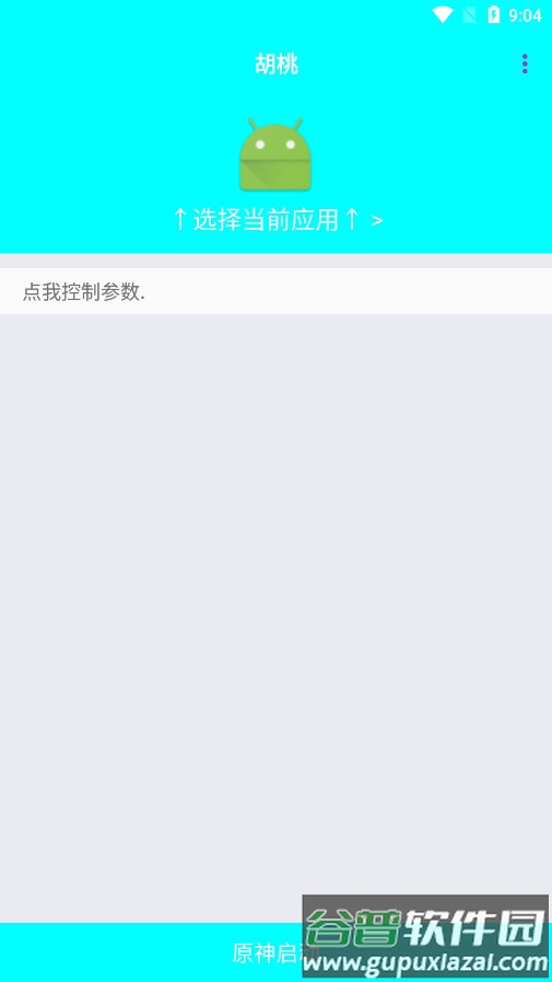 胡桃弱网10.0参数截图3