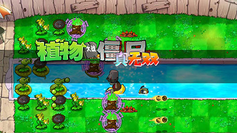 植物大战僵尸真无双版2025最新版截图2