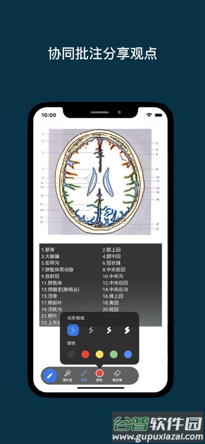 专家宝app截图3